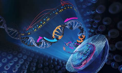 Enabling functional genomics studies in individual cells