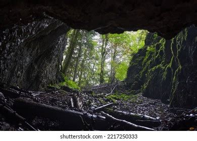 811 Large Cave Opening Images, Stock Photos & Vectors | Shutterstock