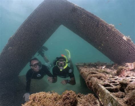 Snorkeling Adventure at Escambron Marine Park - SJU Shore Excursions ...