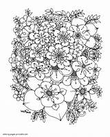 Pretty Flower Coloring Pages Adult sketch template