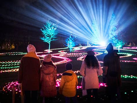 Christmas at the Botanics at Royal Botanic Garden Edinburgh ...