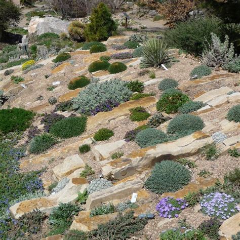 Creating a Crevice Garden: The Newest Technique in Rock Gardening | Rock garden, Rock garden ...