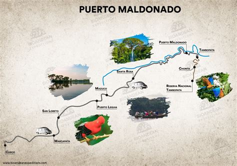 Puerto Maldonado - Tambopata - 4D/3N - Bioandean Expeditions