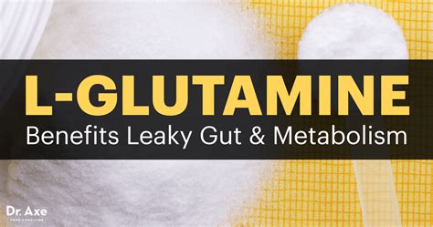 How Glutamine Can Help Leaky Gut – L-Glutamine Benefits