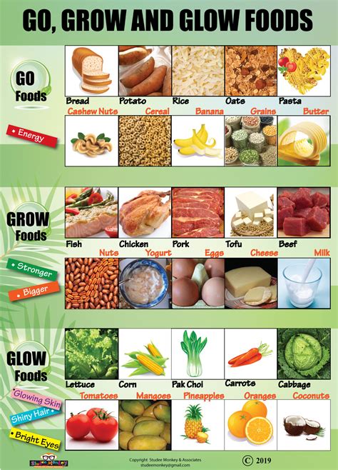 Go Grow And Glow Foods - [Charts, Posters Or Teaching Aids] Size: 18" X 25" - Studee Monkey And ...