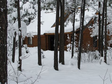 Our log cabin in the woods, Pinetop, Arizona | Beautiful cabins, Cabins in the woods, Pinetop