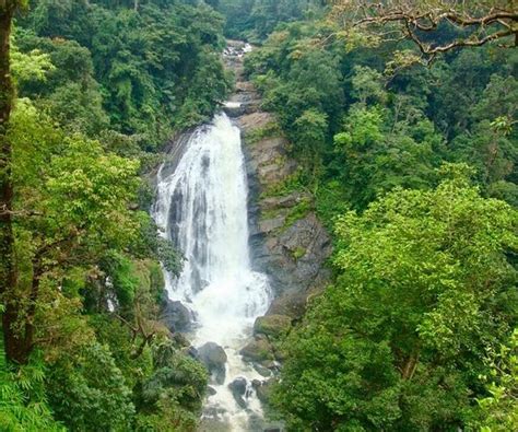 THE 10 CLOSEST Hotels to Attukal Waterfalls, Munnar