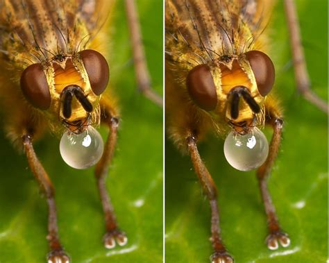 3-D crosseye stereogram of bubble blowing | 3-D Cross-eye st… | Flickr - Photo Sharing!