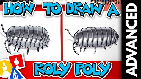 How To Draw A Realistic Roly-Poly Pill Bug - Advanced - Art For Kids Hub