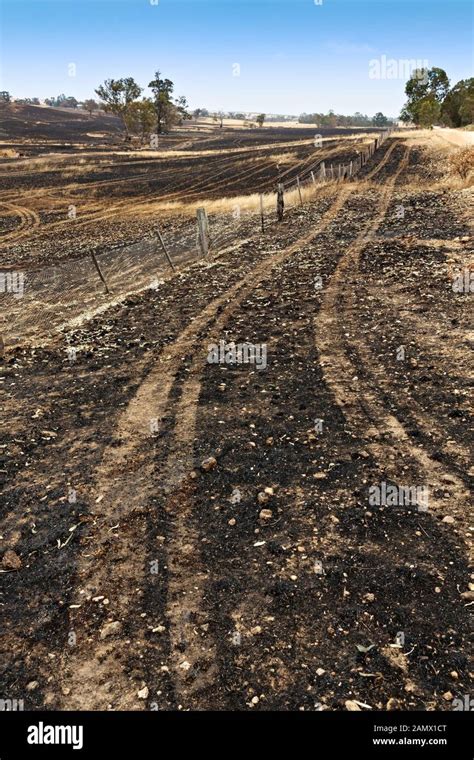 Lexton Australia / Aftermath of bushfires in Lexton Victoria Australia ...