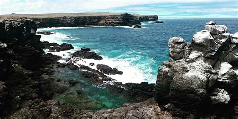 Isla Española, Galápagos, Ecuador. Cosas que hacer. Animales - PlanetAndes