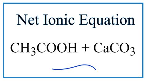 How to Write the Net Ionic Equation for CH3COOH + CaCO3 = (CH3COO)2Ca + CO2 + H2O - YouTube