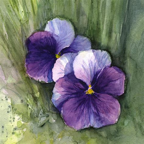 Purple Pansies Watercolor Painting by Olga Shvartsur