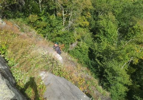 Blue Ridge Parkway North Carolina mountains: Woman dies in fall at ...