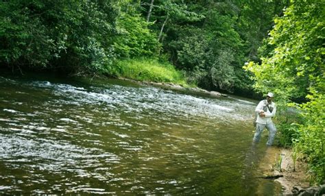 Swinging Steelhead Flies for Trout | MidCurrent