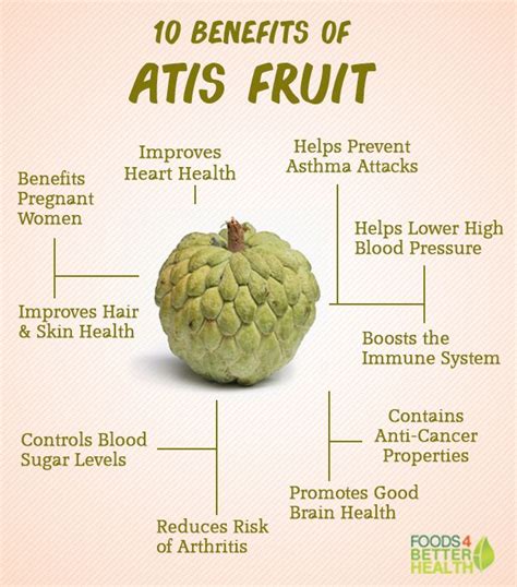 【ベストコレクション】 atis fruit 288999-Atis fruit tree