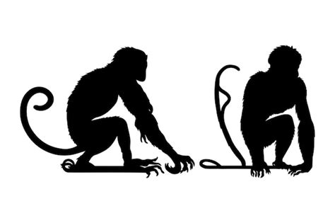 Premium Vector | Black silhouette of monkey monkey silhouette vector