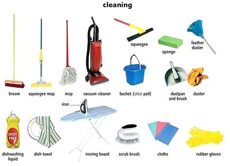 What Cleaning Items Do I Really Need In My House