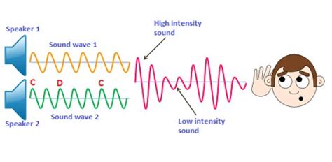 6 Mechanical Waves Examples in Real Life – StudiousGuy