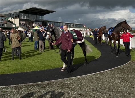 Exeter Racecourse announces 25% rise in prize money | The Exeter Daily