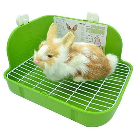 25 Best Hedgehog Litter Boxes and Pans of 2019 (Reviews & FAQs)