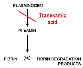 Tranexamic Acid Mechanism of Action - ZoeatStanton