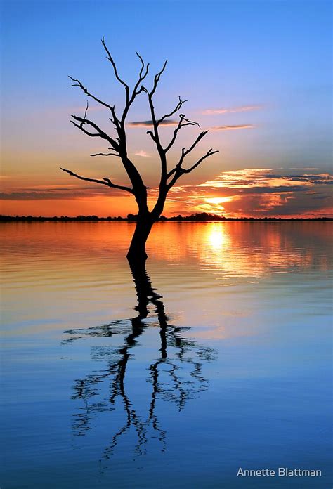 "Tranquil Lake" by Annette Blattman | Redbubble