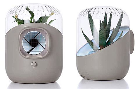 Plants as Indoor Natural Air Purifiers - Urban Gardens