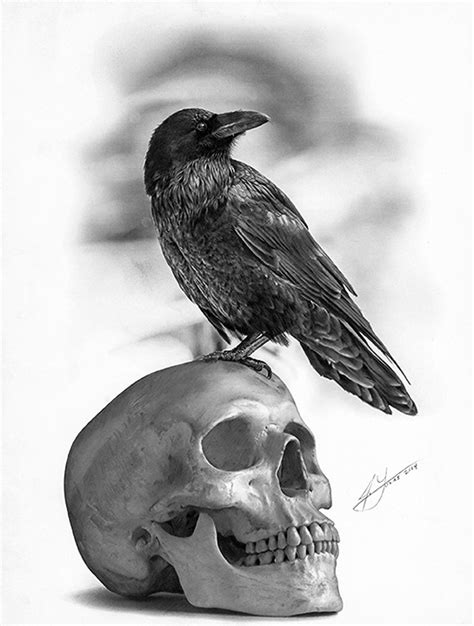 The Raven and The Skull - Pencil Drawing by Julio Lucas :: Behance