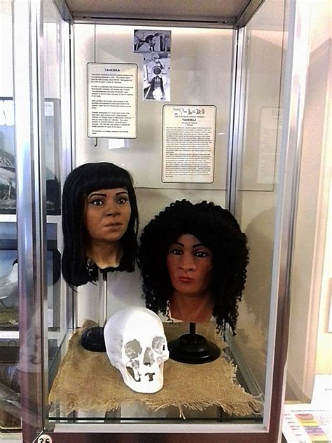 Museum of Design in Plastics: Facial reconstruction of an Ancient ...