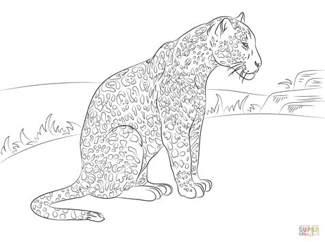 Cute Baby Jaguar Coloring Pages Coloring Pages