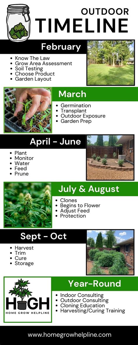 Growing Marijuana Outdoors in Ohio (Month-By-Month)