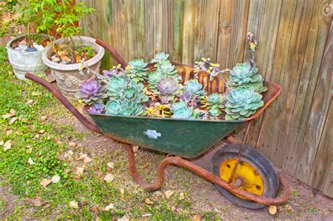 25 Wheelbarrow Planter Ideas for Your Garden - Garden Lovers Club