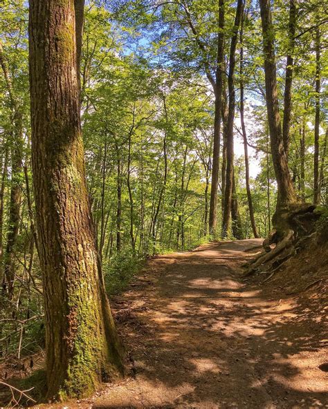 Laurel Falls Trail | Review w/ Photos & High Resolution Video