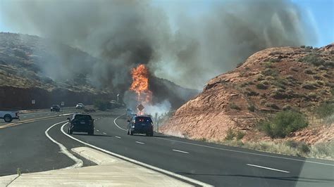 St. George tortoise habitat burnt in brush fire | Flipboard