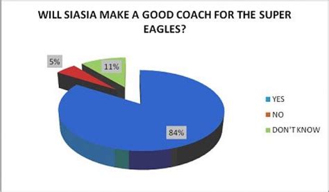 The New Super Eagles Coach