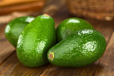 17 Different Types of Avocados