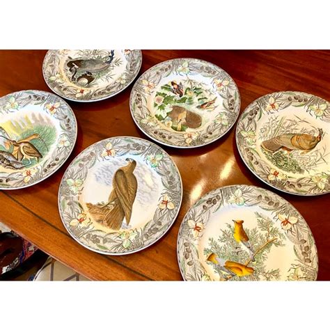 Early 20th Century Adams Dinner Plates Audubon "Birds of America" -- Set of 6 | Chairish