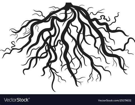 Roots eps Royalty Free Vector Image - VectorStock