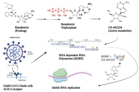 Molecules | Free Full-Text | Potential Anti-SARS-CoV-2 Prodrugs Activated by Phosphorylation and ...