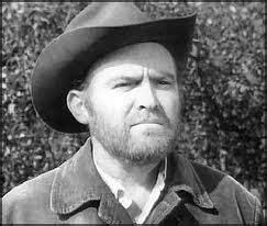 Gene Evans | Old western movies, Movie stars, Western movies