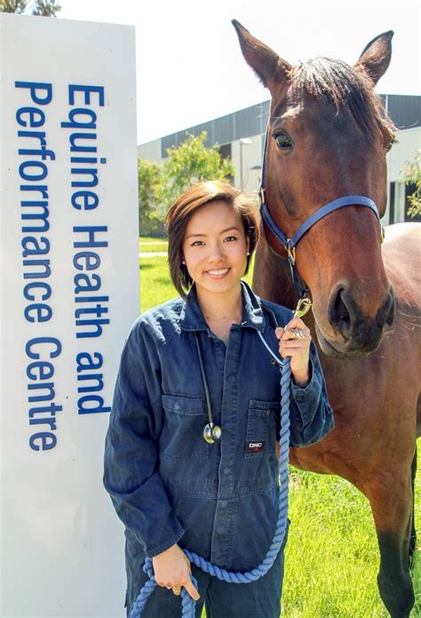 Top Equine Vet Schools