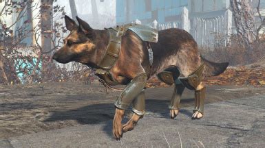 Fallout 4 Dog Armor Some can be purchased from caravans but the rest ...