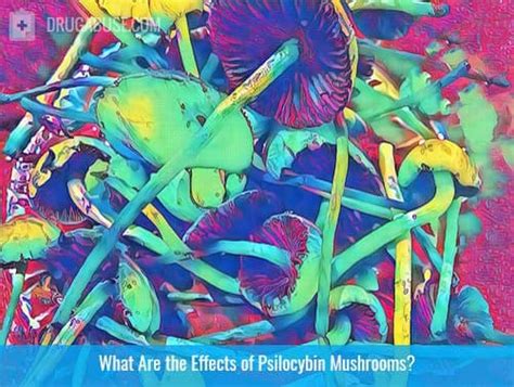 The Effects of Psilocybin Use - DrugAbuse.com