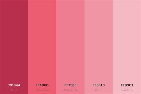 25+ Best Pink Color Palettes with Names and Hex Codes – CreativeBooster