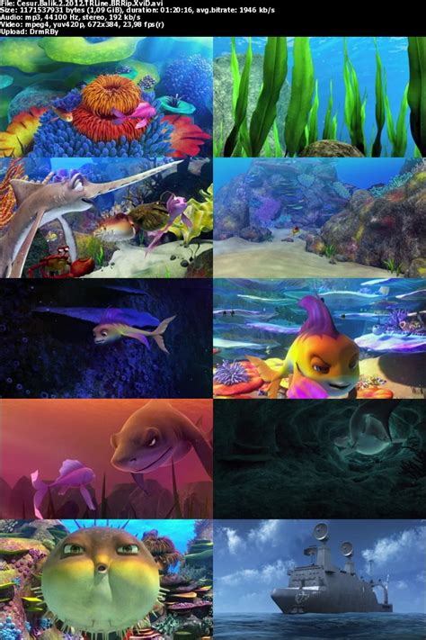 The Reef 2 High Tide (2012) Turkce Dublaj dvdrip download