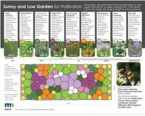 How to Plant a Pollinator Garden - Sargent's Nursery