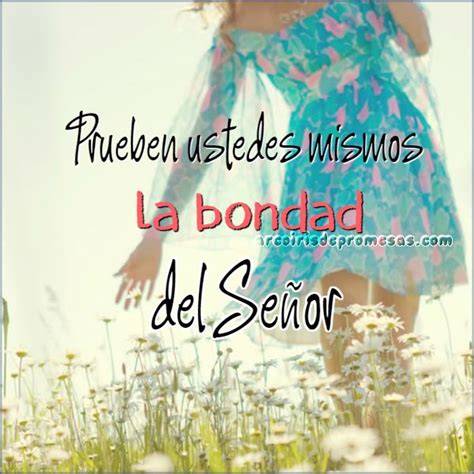 Cuatro consejos para vivir la bondad de Dios | Mensajes positivos de dios, Reflexiones ...