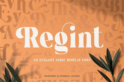 Regint Elegant Serif Display Font - Download Fonts