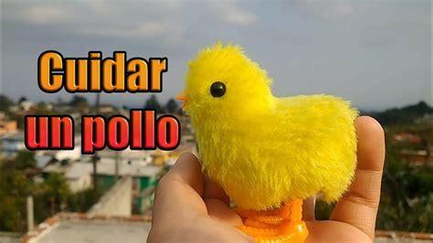 Cómo cuidar a tu pollito🐥/ Pollitos de colores - YouTube